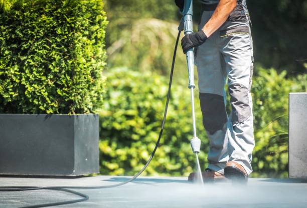 Animal Enclosure Cleaning in Oakley, CA